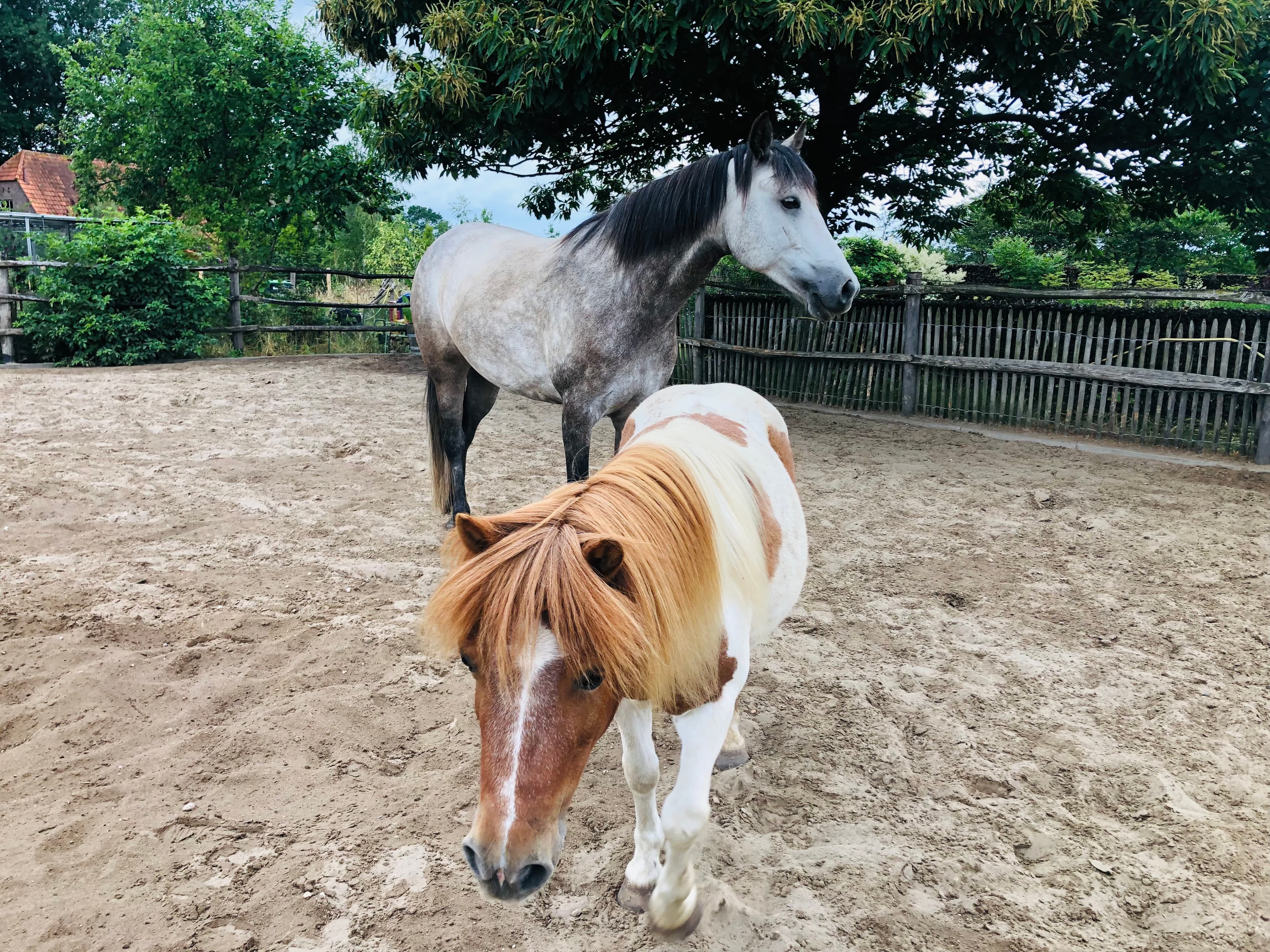 Lola en Flo