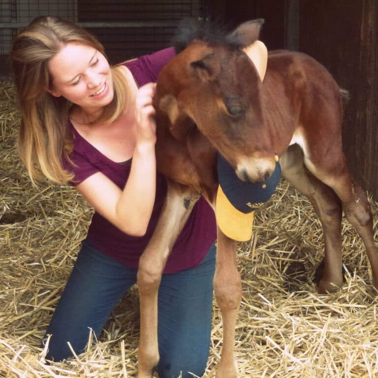 Susanne van Duijne als paardentandarts